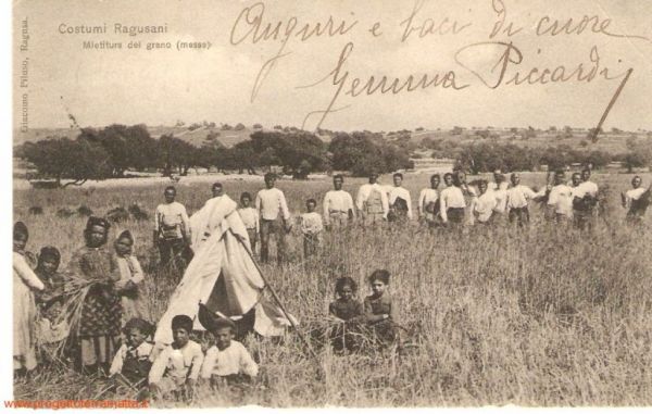 La mietitura del grano nelle campagne del Ragusano in una cartolina d'inizio secolo. Produzione Giacomo Piluso, Ragusa (Archivio Ciccio Minardi)