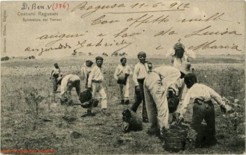 La spietratura dei terreni. Ragusa, 1912. Produzione Giacomo Piluso, Ragusa (Collezione Di Benedetto, Biblioteca comunale di Palermo)
