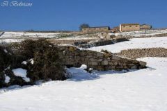 Le neviere