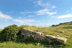 Le neviere