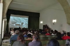 Storie di omosessualità nell'Italia fascista